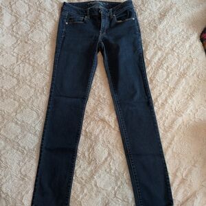 American Eagle Outfitters Navy Skinny Jeans